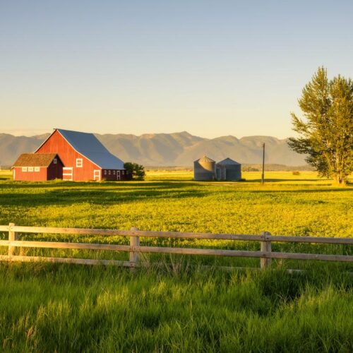 Montana Image